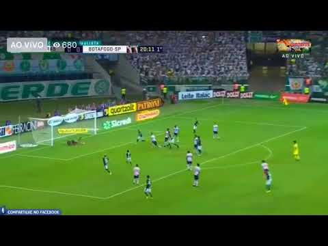 Gol de Deyverson - Palmeiras 1 x 0 Botafogo-SP - Paulistão 2019