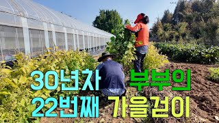 30년차 부부의 22번째 가을걷이