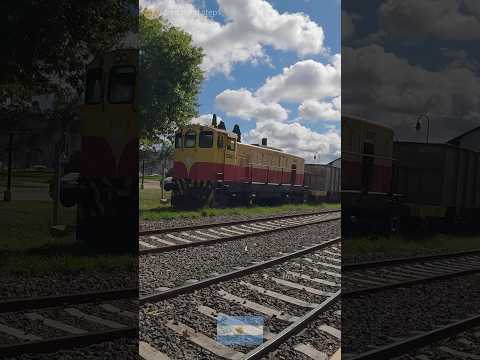 CAMINANDO POR GENERAL LAS HERAS (Buenos Aires) [4K 60fps] (parte4/6) #lasheras #travel #chillout