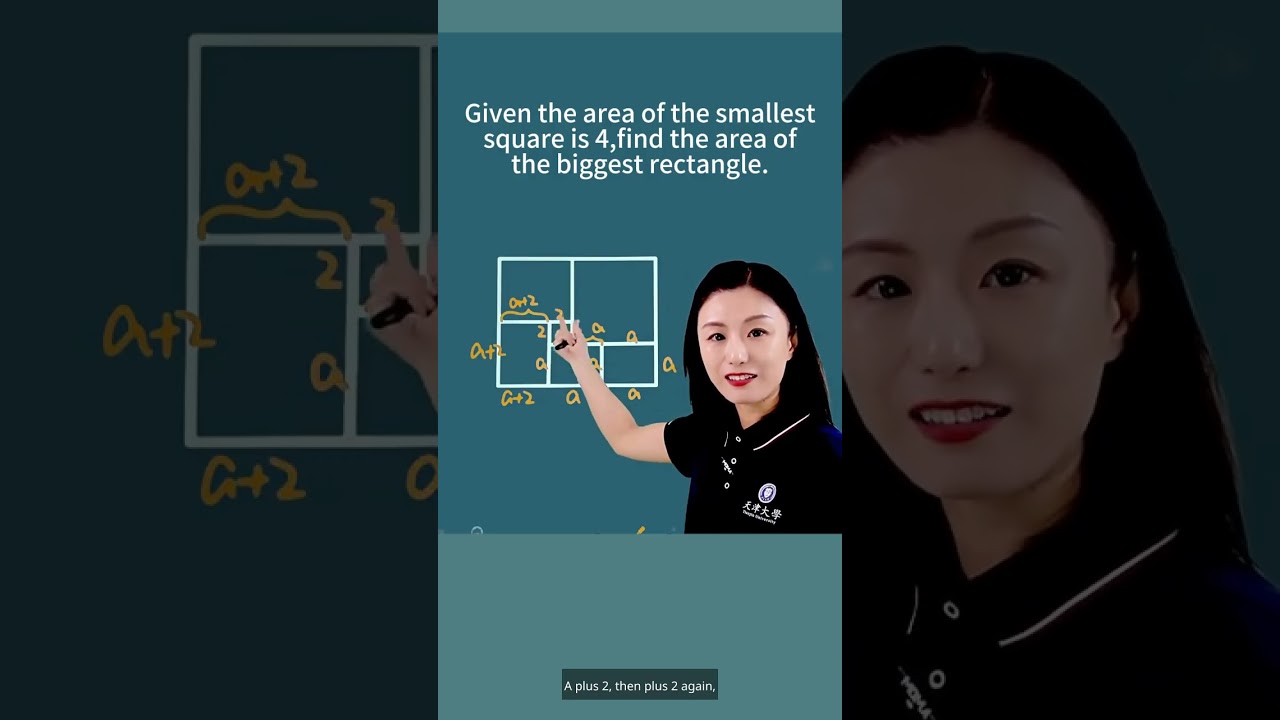Find the area of the biggest rectangle