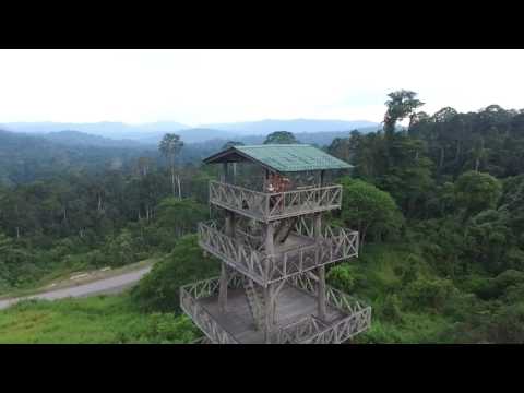 Maliau basin Sabah Borneo Drone
