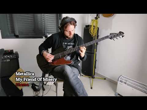 My Friend Of Misery - Metallica (bass cover)