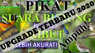 Download lagu SUARA BURUNG RIBUT PART #02 || The sound of a bird of prey is very powerful 2020 NEW mp3 Download lagu SUARA BURUNG RIBUT PART #02 || The sound of a bird of prey is very powerful 2020 NEW mp3