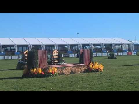 Primrose video 3
