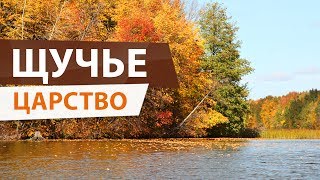 Рыбалка на волге в марий-эл