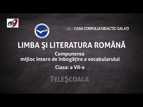 Romanian Language and Literature - Grade 7 - Composition. Internal means of enriching vocabulary