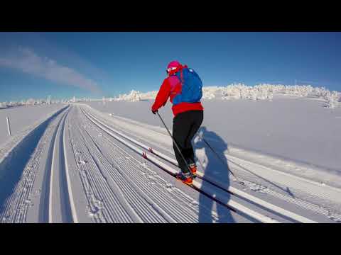 Gålå-Føgerhøi. Nordic ski. Norge 🇳🇴