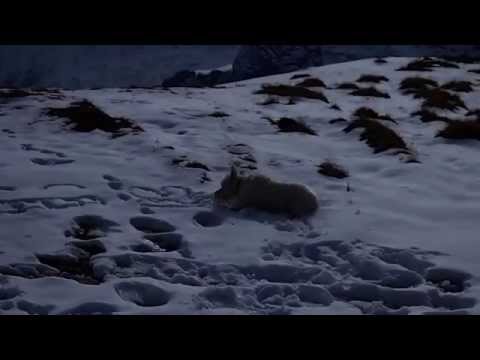 2012.10.18 瑞士 格林德瓦 Grindelwald - First