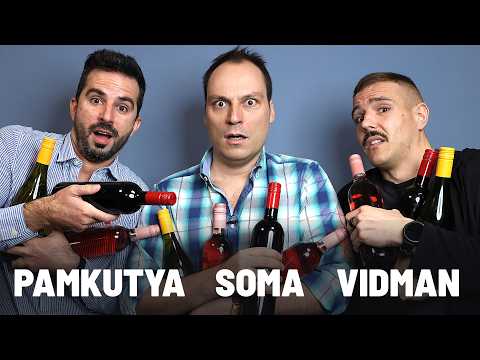 Soma, Pamkutya és Vidman borkészítésbe fognak - Hajnóczy Soma