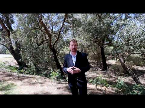 Chris Shaw from Luke Nass Real Estate presenting 15 Pries Place Kelmscott WA 6111