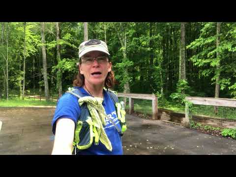 Wheelchair accessible horse back riding