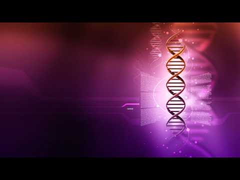 Sasha - Immortal (Kaos & Karl K Remix)