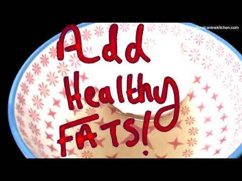 download lagu mp3 mp4 Is Sesame Good For Dogs, download lagu Is Sesame Good For Dogs gratis, unduh video klip Is Sesame Good For Dogs