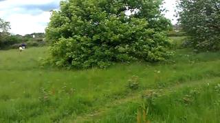 preview picture of video 'Long Lane Pasture, East Finchley'