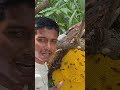 Honey Men Rj ️ Madhumakhi Bee Honey Honeybee Beehive Viral Funny Beelover Beekeepers