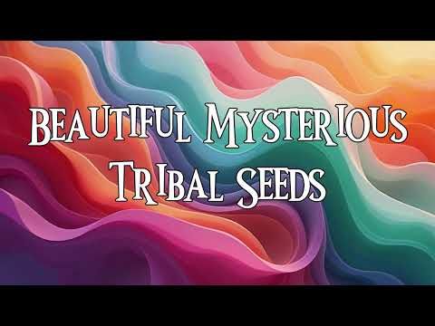 Beautiful Mysterious (Lyrics) | by Tribal Seeds