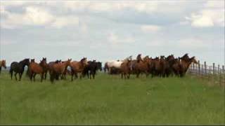 The Pioneer Woman: Photo printing with HP