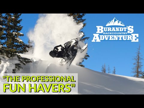 The Professional Fun Havers