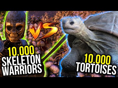10.000 SKELETON WARRIORS vs 10.000 TORTOISES & 1.000 ARCHER | UEBS Gameplay