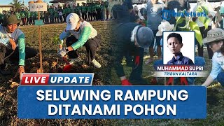 Dihijaukan! RTH Seluwing di Pusat Kota Malinau Ditanami 67 Pohon, Gabungkan Rekreasi & Kegiatan Seni