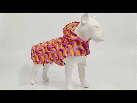 Дождевик-накидка с капюшоном для собак WAUDOG Clothes, рисунок "Инжир", XXS, А 23-26 см, B 30-36 см, С 15-20 - фото 1 - id-p2336268754