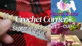 When Storms Change Your Crochet!?🤷🌪 😱🐑 #crochet #vibes #music #dress #cozy #winter #weather 