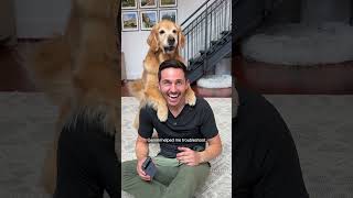 Download lagu Can I teach my dog to give gentler hugs with @GoogleGemini?  #GooglePartner  mp3