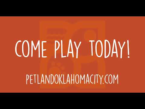 Make A Playful Addition To Your Family