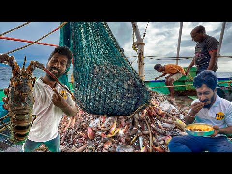 WOW 🤩 Huge Squid Catch Today 🦑 + Delicious Fish Fry Lunch 😋 | Trawlnet Fishing Life | Uncut video.