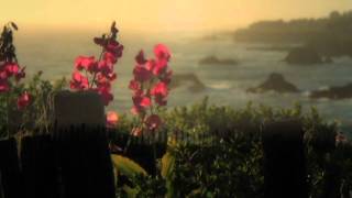 Shingo Nakamura & Kazusa - Move On (Aero's Soft Mix)