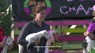 Dogsville Trailer about the dog sports agility world championship with mutts and purebreds competing