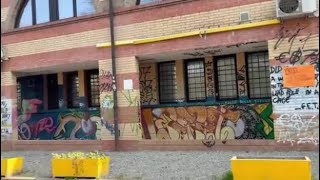 Degrado e incuria, Lepore cerca volontari: «Ora prendiamoci tutti cura di Bologna»