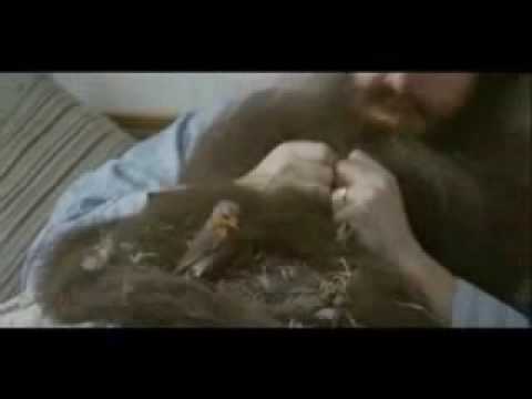 Funny man videos - Bird's Nest Need to Shave