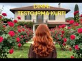 Irma Kurti - Dimmi