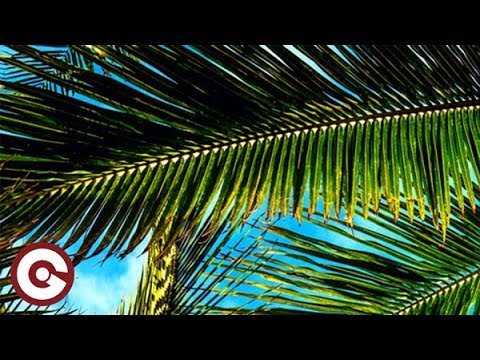 ALEX GAUDINO & NARI FT POPE - Together