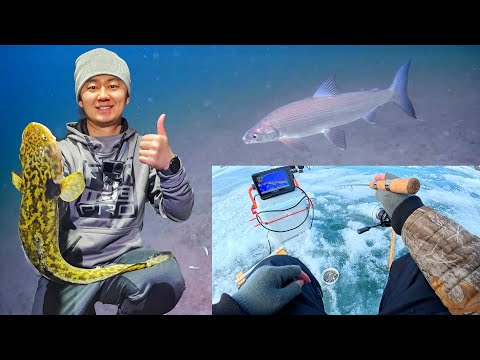 24 Hours Ice Fishing &amp; Camping for Burbot | Underwater Footage, Diesel Heater