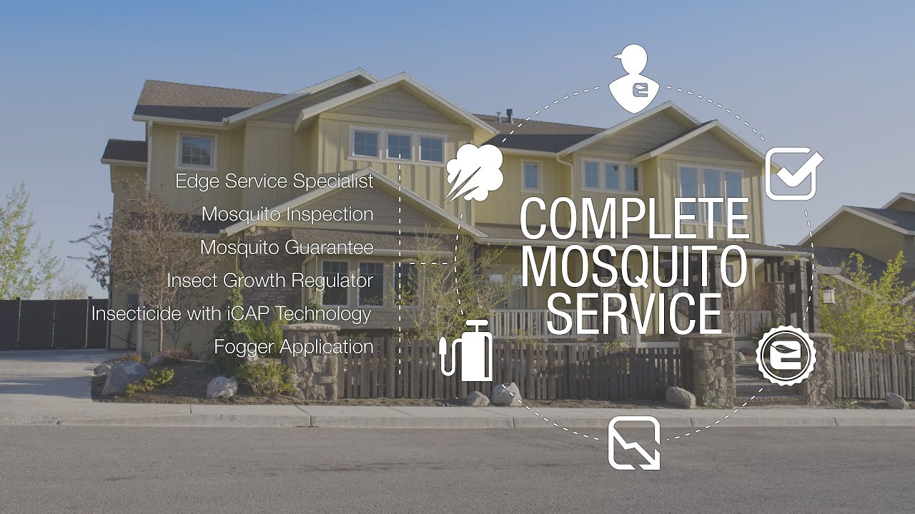 Company video EDGE PEST CONTROL AND MOSQUITO SERVICES