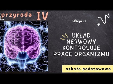 Przyroda klasa 4 [Lekcja 17 - Układ nerwowy kontroluje pracę organizmu]
