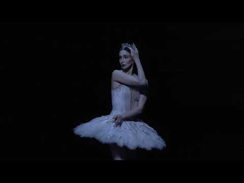 Disfruta de ‘El lago de los cines’ con Cine Yelmo