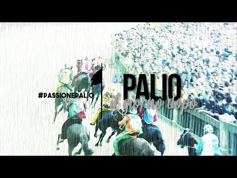 PALIO, IL GIORNO DOPO 03-07-2019
