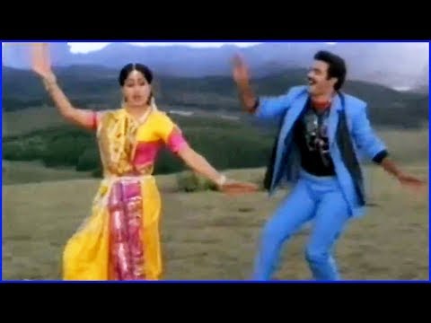 Muddula Mavayya Movie Video Song | Balakrishna | Vijayashanthi