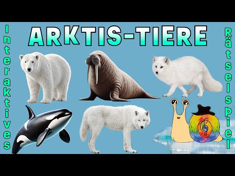NEU! Die coolsten Tiere der Arktis! ❄️ UPGRADE 2025 | Tiere und Geräusche | lernen und erraten