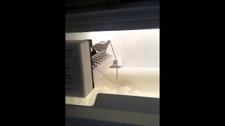 Kemore Refrigerator Icemaker Not Making Ice