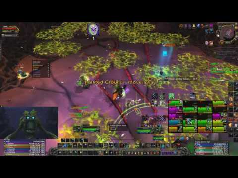 Nythendra Mythic @ Cipher Pol - Twisting Nether (Resto Druid PoV)