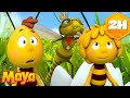 The Return Of The Racing Legend ️ Maya The Bee Cartoon And Video For Kids