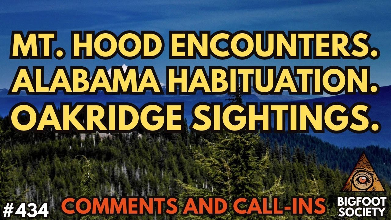 What We Saw at Spirit Lake HORRIFIED us!