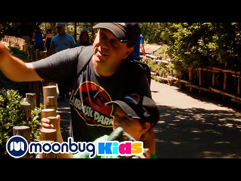 Dinosaur Animal Park Adventure | T-Rex Ranch Adventures | Kids Songs | Moonbug Kids