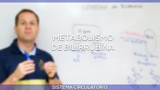 Metabolismo de Bilirrubina