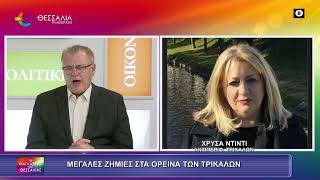 ΜΕΓΑΛΕΣ ΖΗΜΙΕΣ ΣΤΑ ΟΡΕΙΝΑ ΤΩΝ ΤΡΙΚΑΛΩΝ_ΧΡΥΣΑ ΝΤΙΝΤΙ 24 11 2025