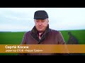 Регулятор роста Медакс Топ